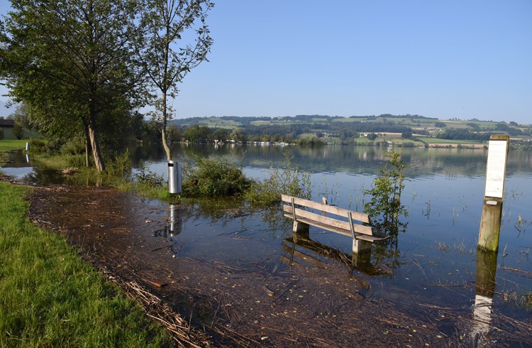 Nach wiederholten starken Niederschlägen trat im Juli 2021 der Sempachersee in Sempach während langer Zeit über die Ufer. (Foto Geri Wyss/Archiv)