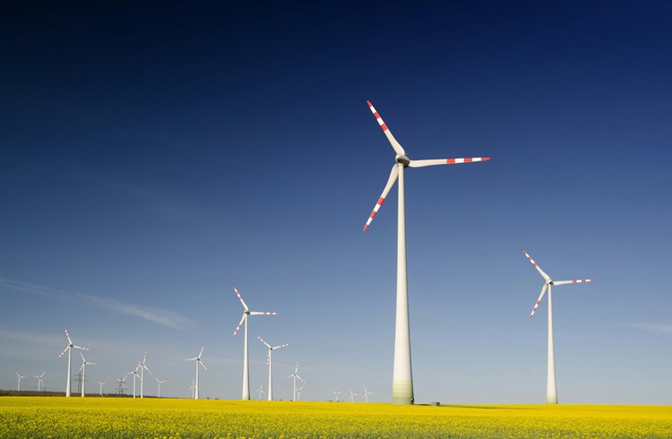 Symbolfoto Windenergie. (Foto unsplash)