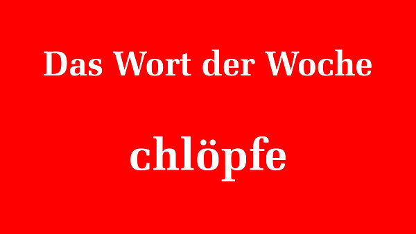 163982_163983.jpeg