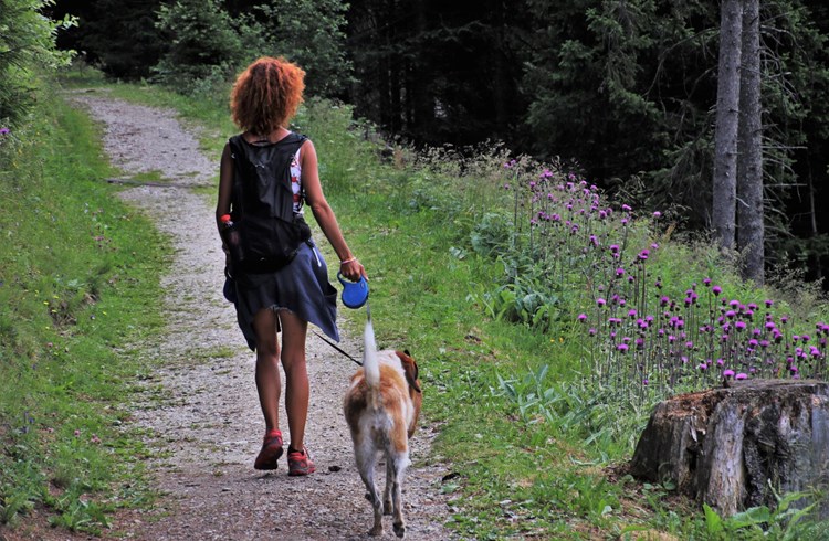Von April bis Juli müssen Hunde in Waldesnähe obligatorisch an der Leine gehalten werden. (Foto zvg)