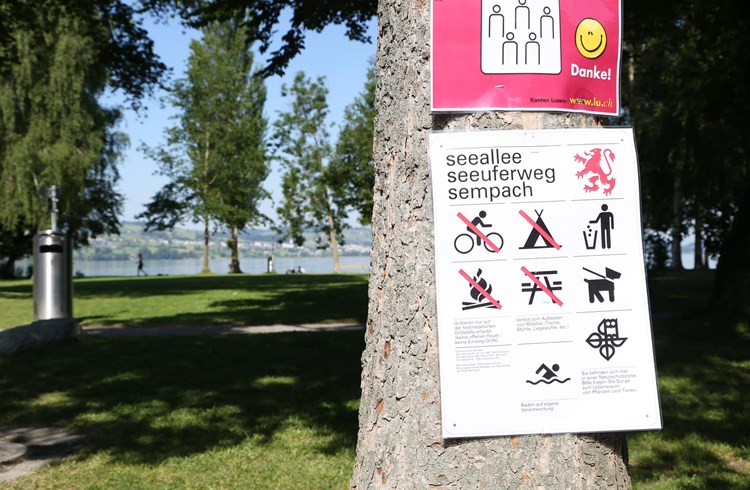 Die Stadt Sempach will dem sommerlichen Besucheransturm in der Seeallee mit klaren Regeln Herr werden. (Geri Wyss)