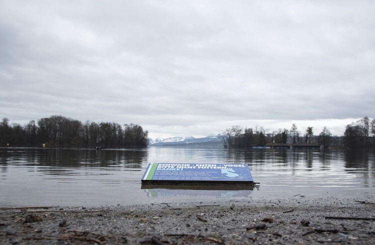 Derzeit herrscht in der Region kein Wassermangel, wie das Ufer des Sempachersees in Sursee zeigt. (Foto Thomas Stillhart)