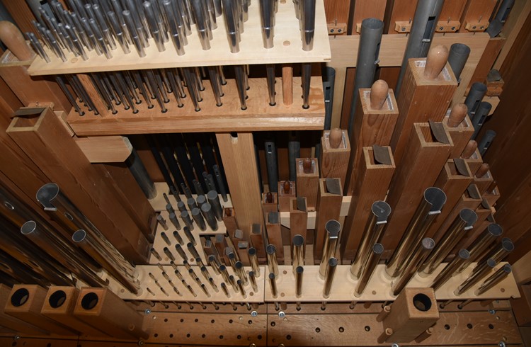 Alle Pfeifen wurden von der Orgelbau Graf AG gereinigt und zurück in die Löcher (vorne im Bild) gesteckt. (Foto Sarah Amrein)