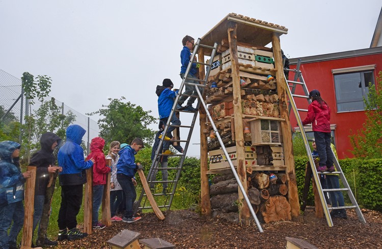 Um die verschiedenen Etagen zu bestücken, kletterten die Kinder eifrig die Leiter rauf und runter. (Foto Sarah Amrein)