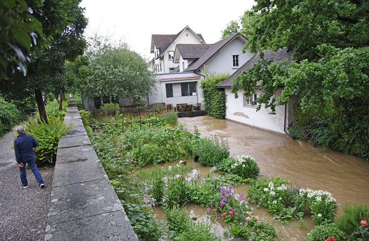 Die Gärten beim Ehret-Park in Sursee sind überschwemmt. (Foto Sarah Amrein)