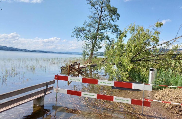 Der Seeuferweg in Sempach ist aktuell gesperrt. (Foto zVg)