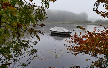 Der Herbst hat definitiv Einzug gehalten: Schöne Stimmung am Steinibühlweiher in Sempach. | Franz Nick, Sempach
