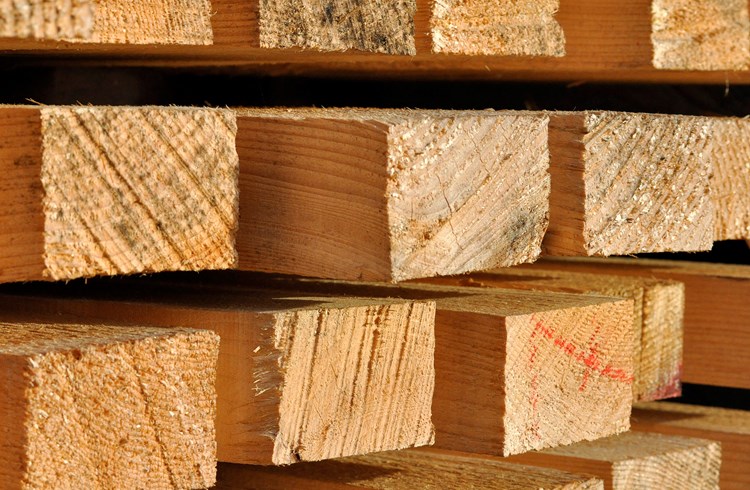 Holz könnte als Bausubstanz mit den neuen Prämienrabatten neuen Aufwind erhalten. (Symbolbild Kurt Michel/Pixelio)