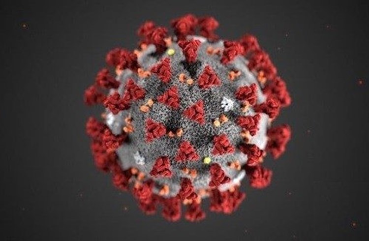 Seit zwei Jahren beschäftigt das Coronavirus die Schweiz. (Visualisierung zVg)