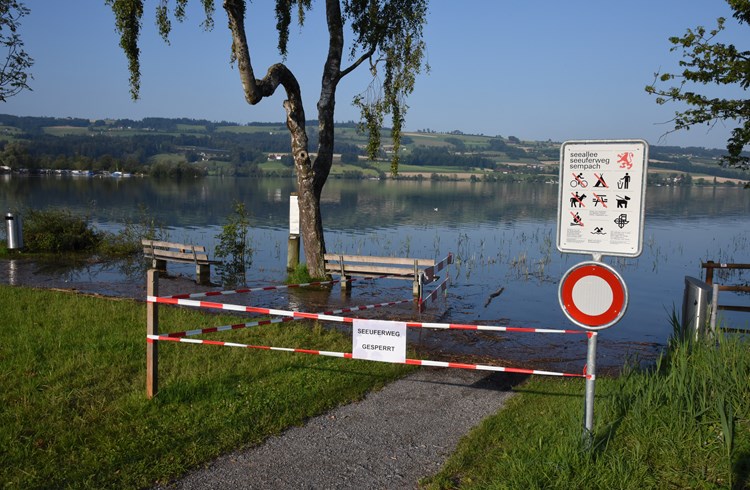 Der Seeweg zwischen Seeallee und Vogelwarte in Sempach war während Wochen gesperrt. (Foto Geri Wyss/Archiv)