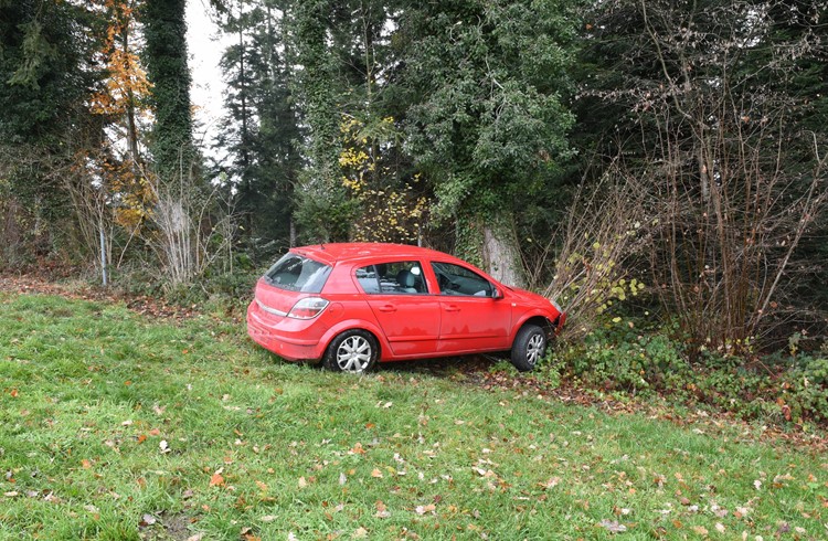 Am Montagmorgen endete eine Autofahrt in Nottwil an einem Baum.  (Foto Luzerner Polizei)
