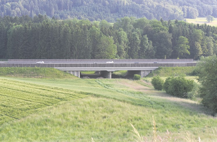 Die Wildtierunterführung der A2 bei Knutwil wurde 2020 fertiggestellt. (Foto Stefanie Zumbach)