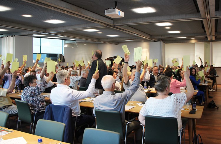 Die rund 100 Versammelten nahmen die neun Nationalratskandidierenden einstimmig an. (Franziska Kaufmann)