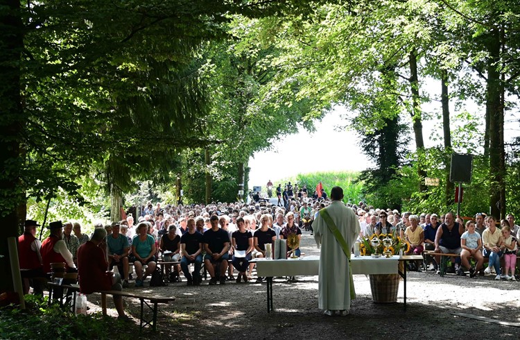 Der Schatten des Traselingerwaldes bot an diesem prächtigen Sonntag den idealen Rahmen für die Sommertagung der Luzerner Bäuerinnen und Bauern. (Foto zVg)
