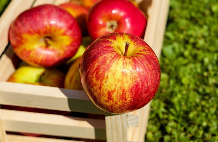 Am 15. September ist Tag des Apfels. (Foto «1195798»/Pixabay)