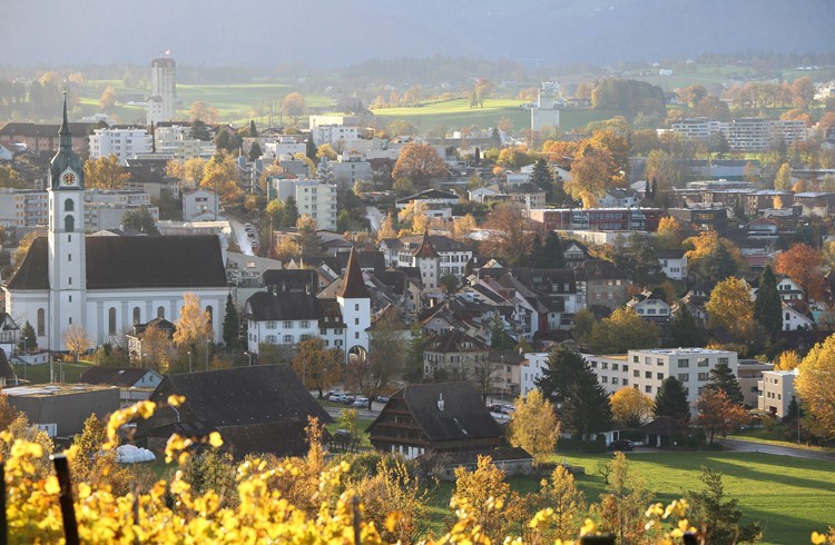 Blick von Kirchbühl hinunter zur Stadt Sempach: Die Korporation Sempach will die Fernwärme Süd erweitern. (Foto Geri Wyss)