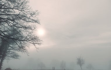 Der Nebel hat etwas faszinierendes, wirkt mystisch, strahlt aber auch Ruhe und Stille aus. Beobachtet beim Eichwald. | Monika Näf-Flühler