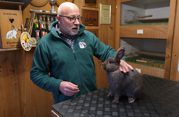 Markus Vogel züchtet seit 1985 Kaninchen. Mit diesem Kleinsilber-Kaninchen hat er bereits mehrere Preise gewonnen. (Foto Roseline Betschart)