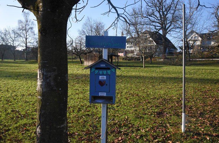 Sursee verfügt inzwischen auch über einen Briefkasten der Meldestelle für Glücksmomente unten am See. (Foto Michael Hausheer)