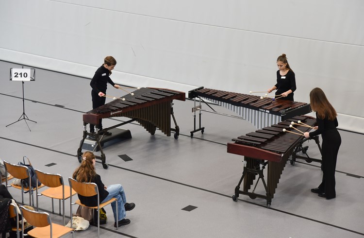 Auch zwei Ensembles nahmen am Wettbewerb teil, wie hier das «Trio Bummbastic». (Foto Franziska Kaufmann)