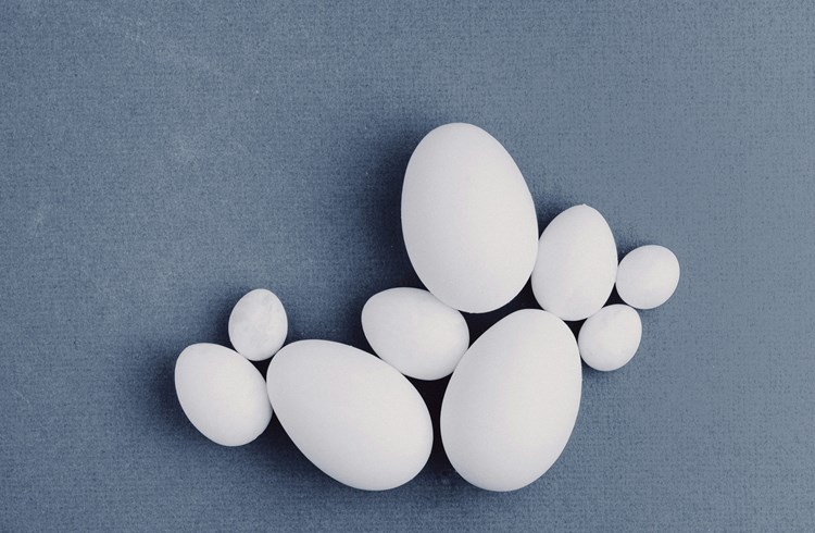 Eier gibt es in vielen Formen und Grössen. (Foto Unsplash/Kier in Sight Archives)