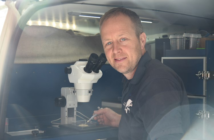 Andreas Bucher ist spezialisiert auf Embryogewinnung. Mit einem mobilen Labor kann er die Embryos und Eizellen vor Ort untersuchen. (Foto Nicolas Arnold)