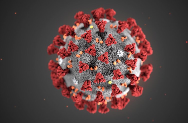 Das Coronavirus sorgt auch in unserer Region für Unsicherheit. (Foto Keystone)