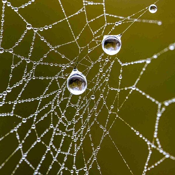 
									Herbstimpressionen: Bild 9
								