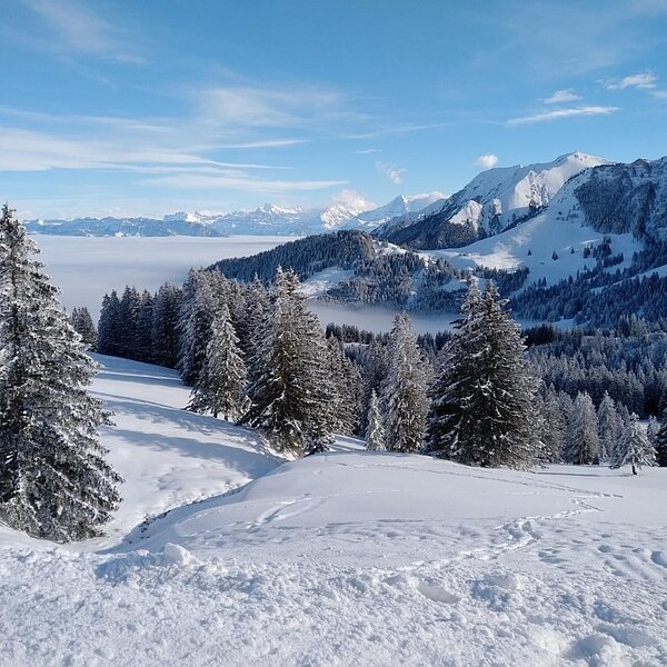 
									Winterimpressionen: Bild 6
								