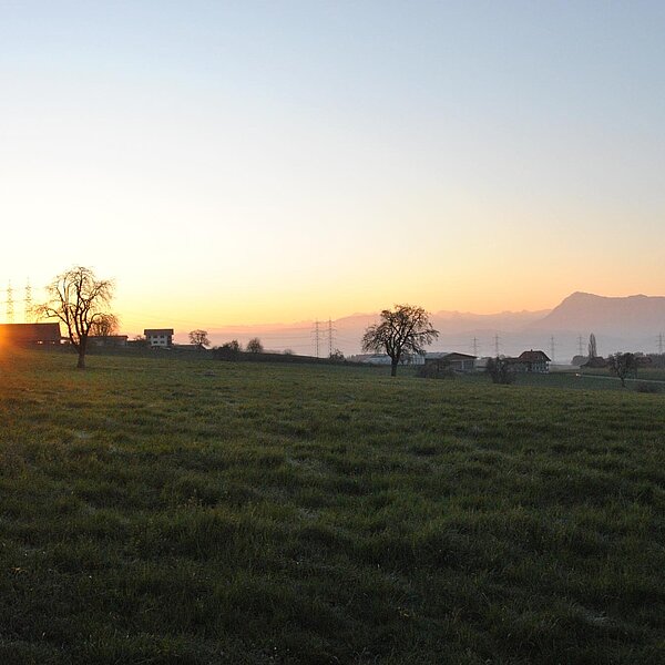
									Frühlingserwachen: Bild 12
								