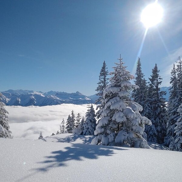 
									Winterimpressionen: Bild 8
								