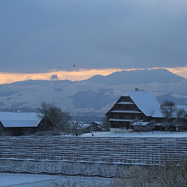 
									Aprilschnee: Bild 7
								