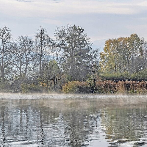
									Herbstimpressionen: Bild 2
								