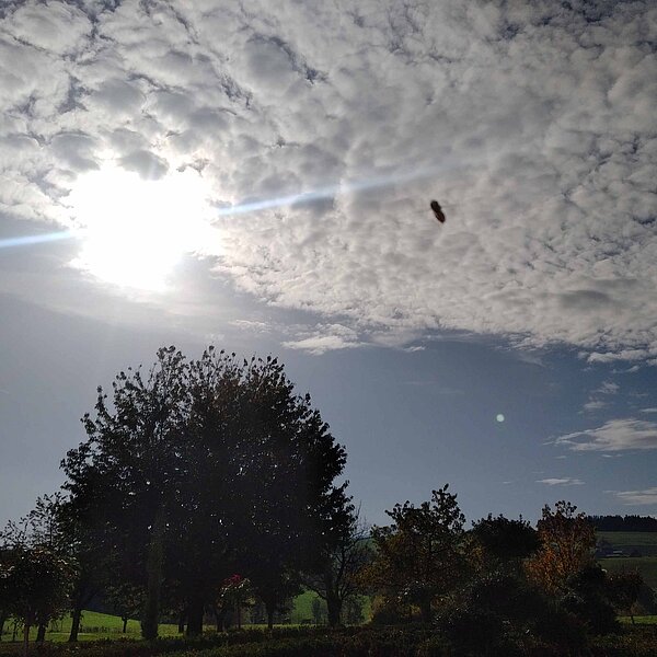 
									Herbstimpressionen: Bild 7
								