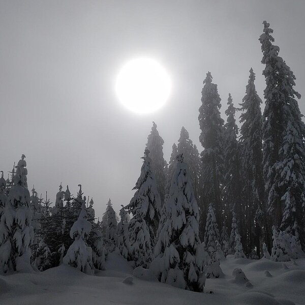 
									Winterimpressionen: Bild 7
								