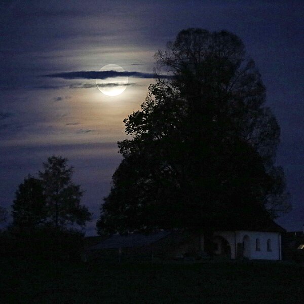 
									Herbstimpressionen: Bild 6
								