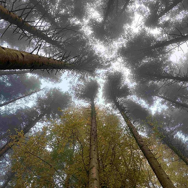 
									Herbstimpressionen: Bild 10
								