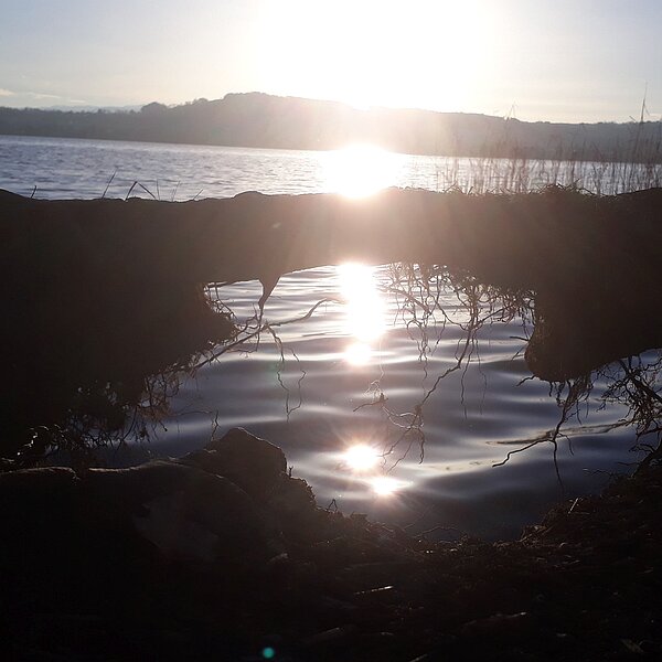
									Die Natur in der Ruhephase: Bild 2
								