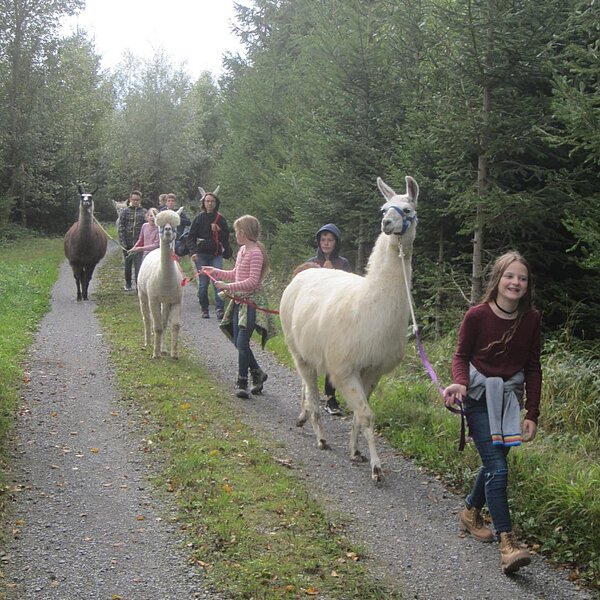 
									Ferien(s)pass Sempach und Hildisrieden: Bild 6
								