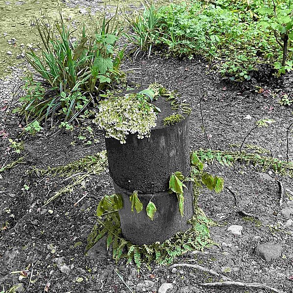 
									Waldmandalas im Mülital: Bild 5
								
