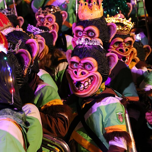 
									Fasnacht 2019: Bild 1
								