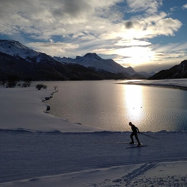 
									Winterimpressionen: Bild 2
								