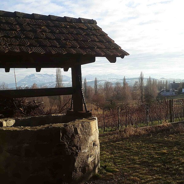 
									Die Natur in der Ruhephase: Bild 3
								