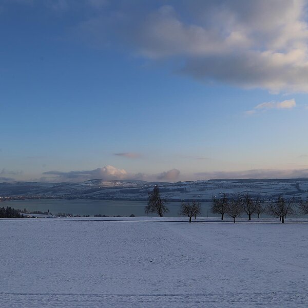 
									Aprilschnee: Bild 5
								