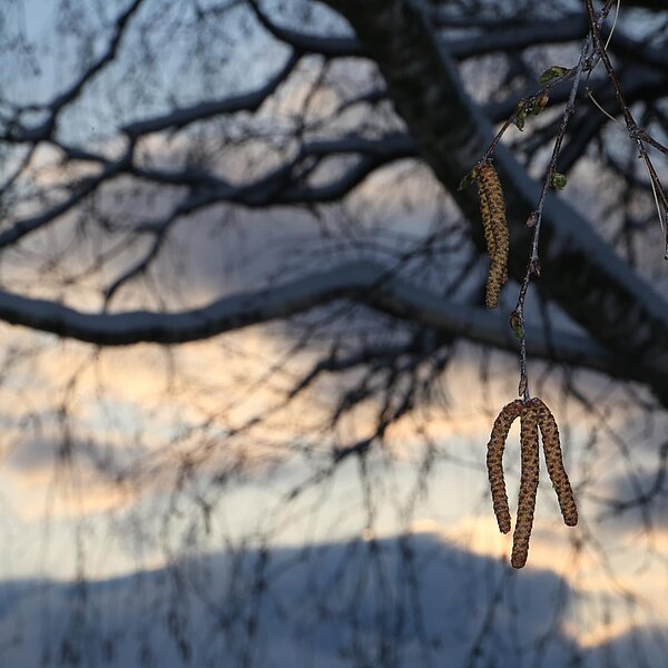 
									Aprilschnee: Bild 3
								