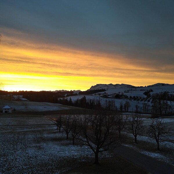 
									Winterimpressionen: Bild 1
								