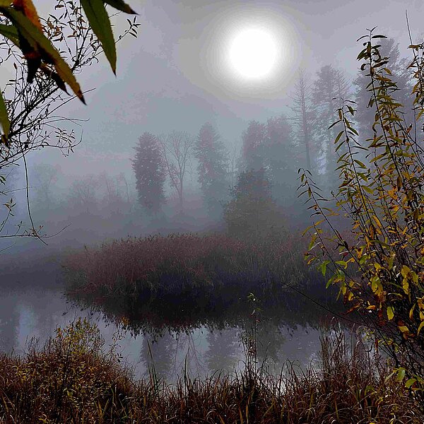 
									Herbstimpressionen: Bild 8
								