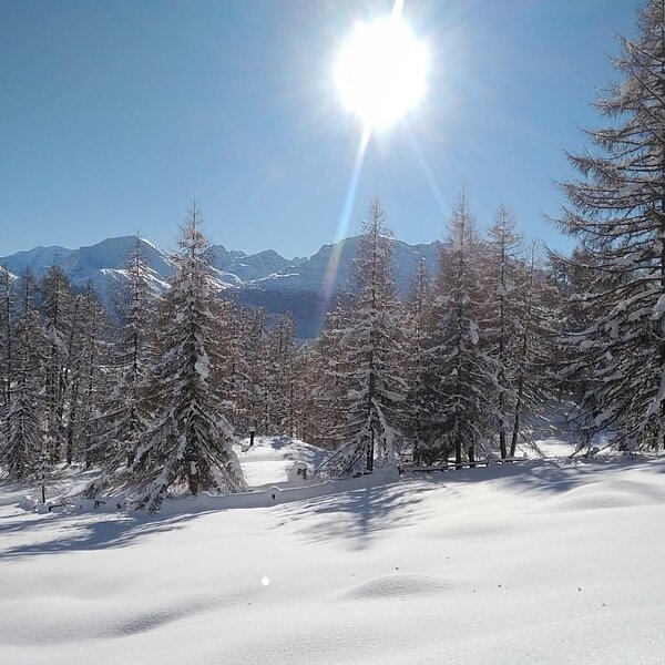 
									Winterimpressionen: Bild 3
								