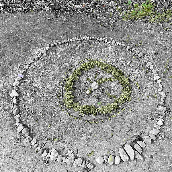 
									Waldmandalas im Mülital: Bild 2
								