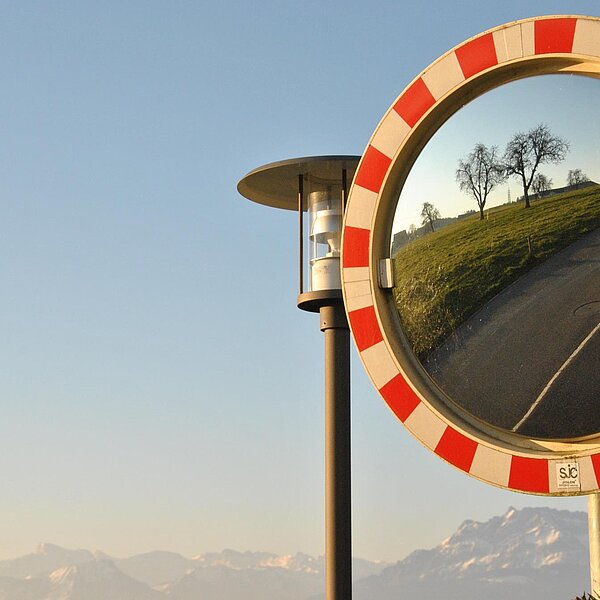 
									Frühlingserwachen: Bild 3
								